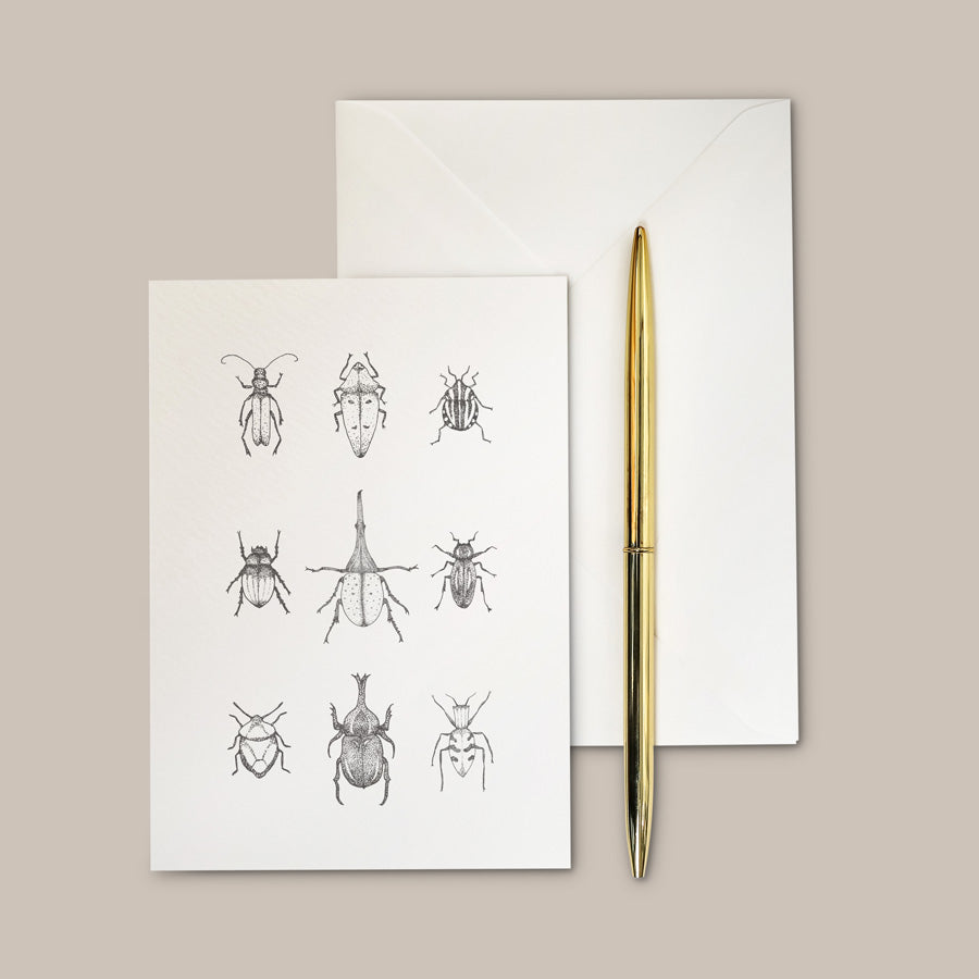 Load image into Gallery viewer, Beautiful beetle insect card. Hand illustrated – A6 Darwin Beetle Greeting Card
