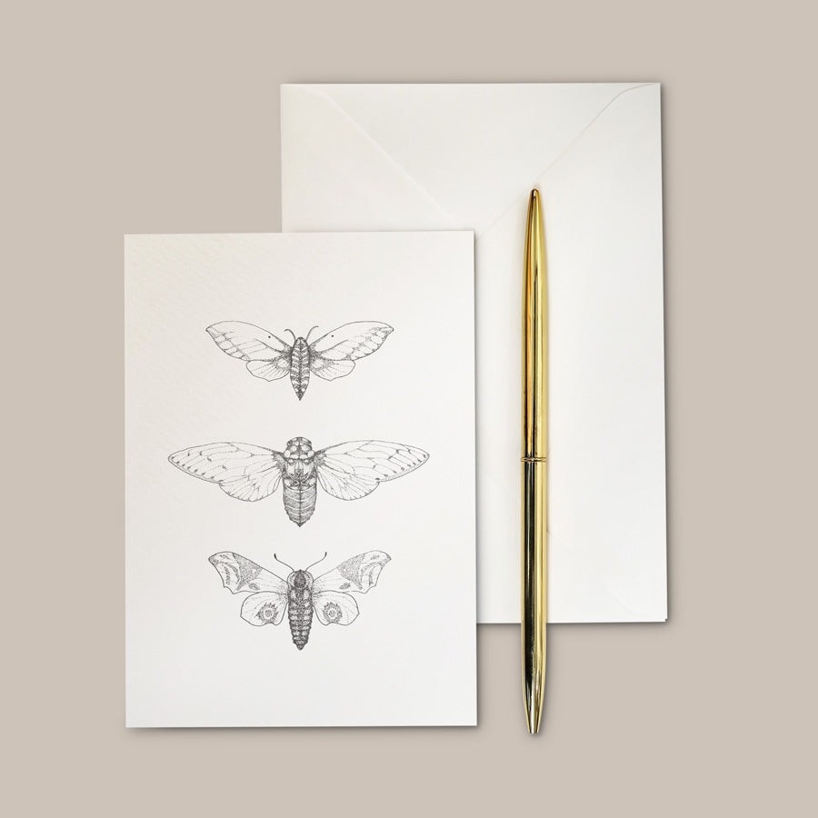 Intricate moth greeting card. Hand illustrated – A6 Darwin Moth Greeting Card